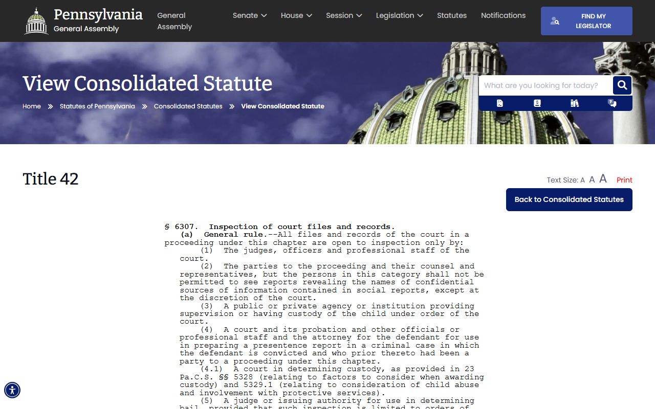 Mercer County arrest records and court charges juvenile court file access statute
